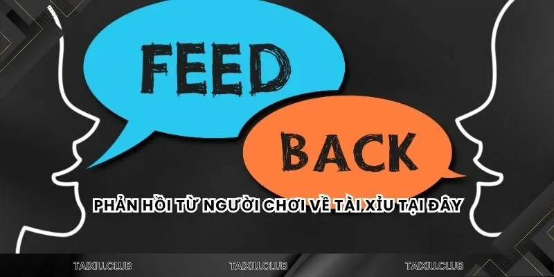Phản hồi từ người chơi về tài xỉu tại đây