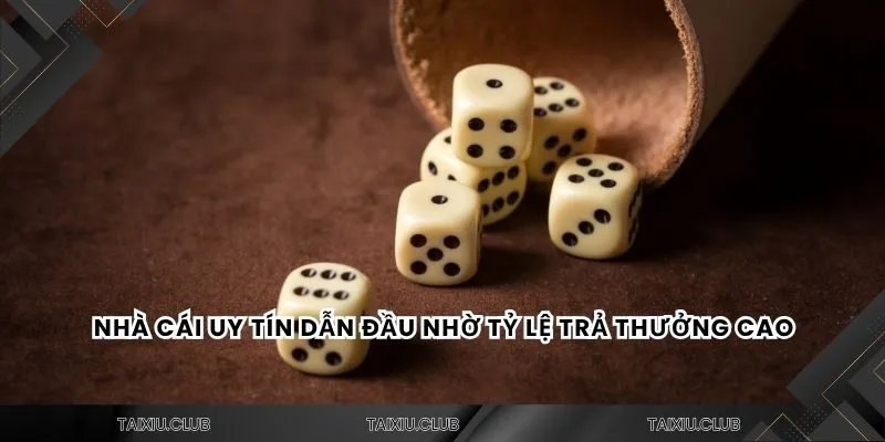 Nhà cái uy tín dẫn đầu nhờ tỷ lệ trả thưởng cao