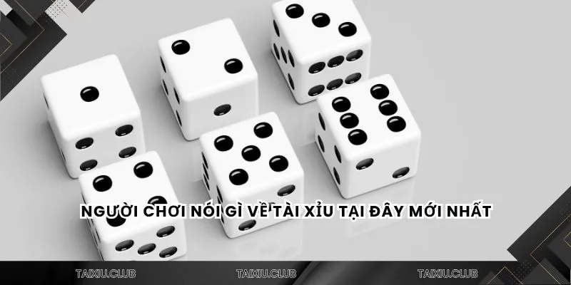 Người chơi nói gì về tài xỉu tại đây mới nhất