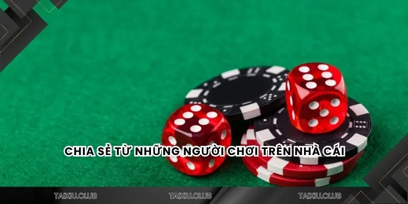 Chia sẻ từ những người chơi trên nhà cái
