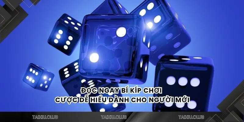 Đọc ngay bí kíp chơi cược dễ hiểu dành cho người mới
