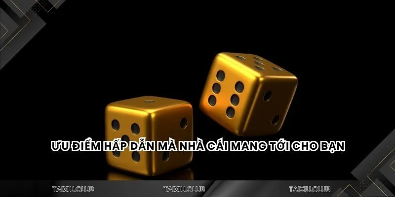 Ưu điểm hấp dẫn mà nhà cái mang tới cho bạn