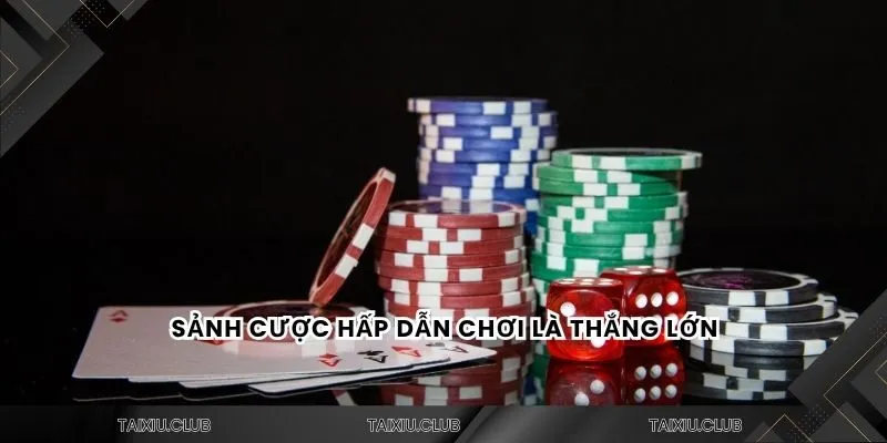 Sảnh cược hấp dẫn chơi là thắng lớn