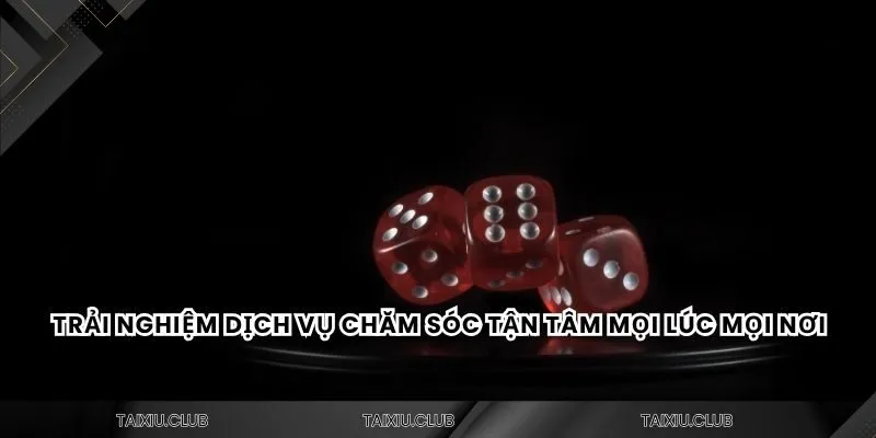 Trải nghiệm dịch vụ chăm sóc tận tâm mọi lúc mọi nơi