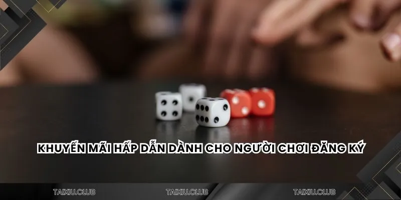 Khuyến mãi hấp dẫn dành cho người chơi đăng ký