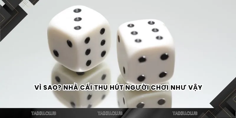 Vì sao? Nhà cái thu hút người chơi như vậy
