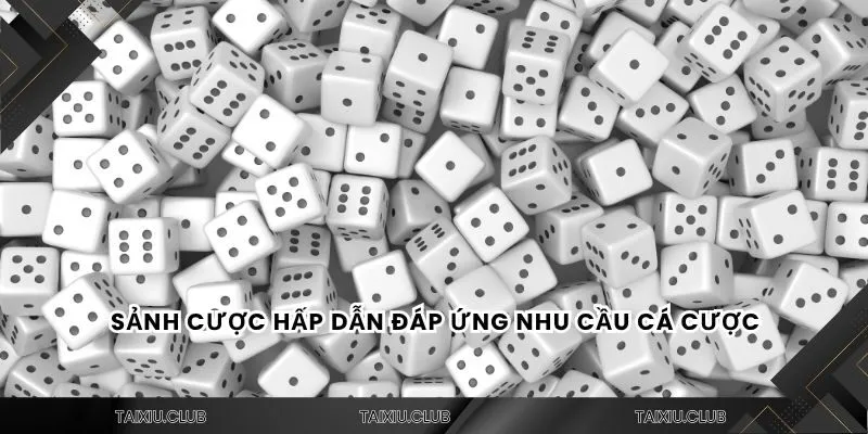 Sảnh cược hấp dẫn đáp ứng nhu cầu cá cược