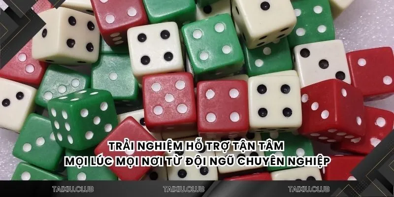 Trải nghiệm hỗ trợ tận tâm mọi lúc mọi nơi từ đội ngũ chuyên nghiệp