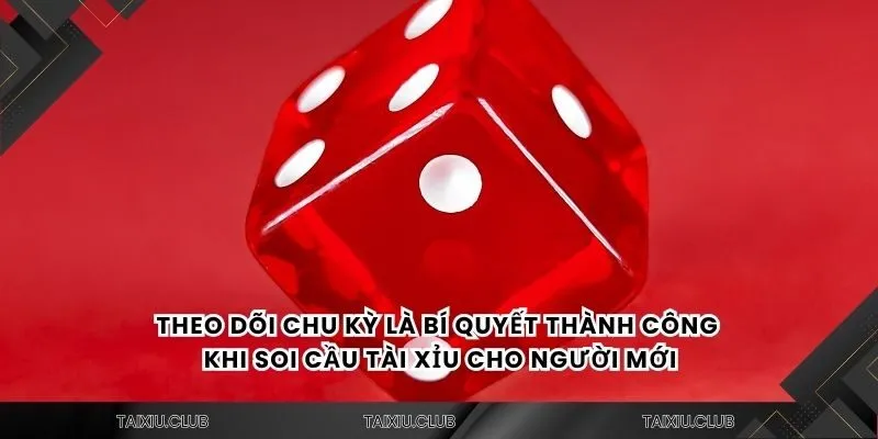 Theo dõi chu kỳ là bí quyết thành công khi soi cầu tài xỉu cho người mới