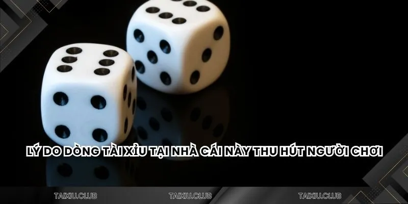 Lý do dòng tài xỉu tại nhà cái này thu hút người chơi