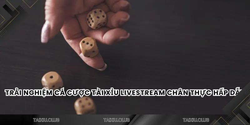 Trải nghiệm cá cược tài xỉu livestream chân thực hấp dẫn