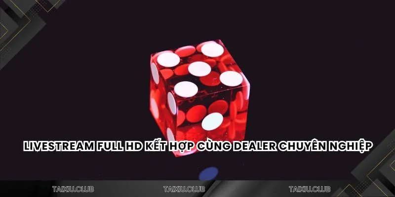 Livestream Full HD kết hợp cùng dealer chuyên nghiệp