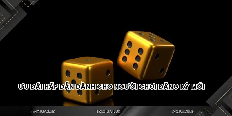Ưu đãi hấp dẫn dành cho người chơi đăng ký mới