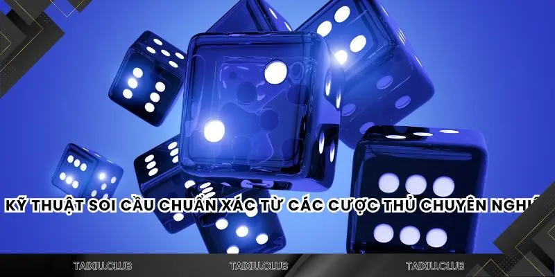 Nhận xét thực tế từ người chơi khi cá cược