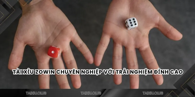 Tài xỉu Zowin chuyên nghiệp với trải nghiệm đỉnh cao